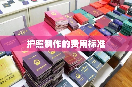 仁和护照制作的费用标准